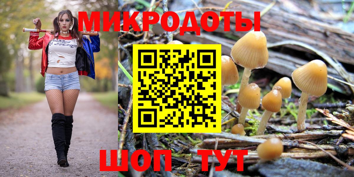 Галлюциногенные грибы Psilocybe  Вход с VPN  Галлюциногенные грибы Magic Shrooms  Уфа 
